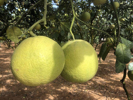 Tháng Chạp đến rồi kìa