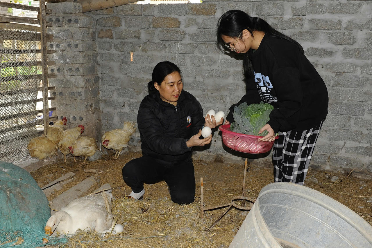 'Nâng bước' xây dựng nguồn nhân lực chất lượng cao cho kỷ nguyên mới