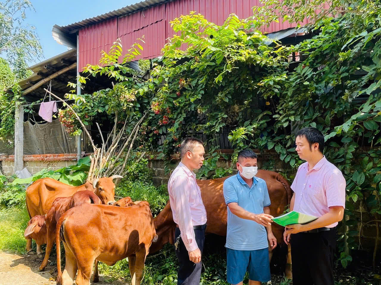 Tín dụng chính sách mang mùa xuân đến người nghèo miền núi Tân Sơn