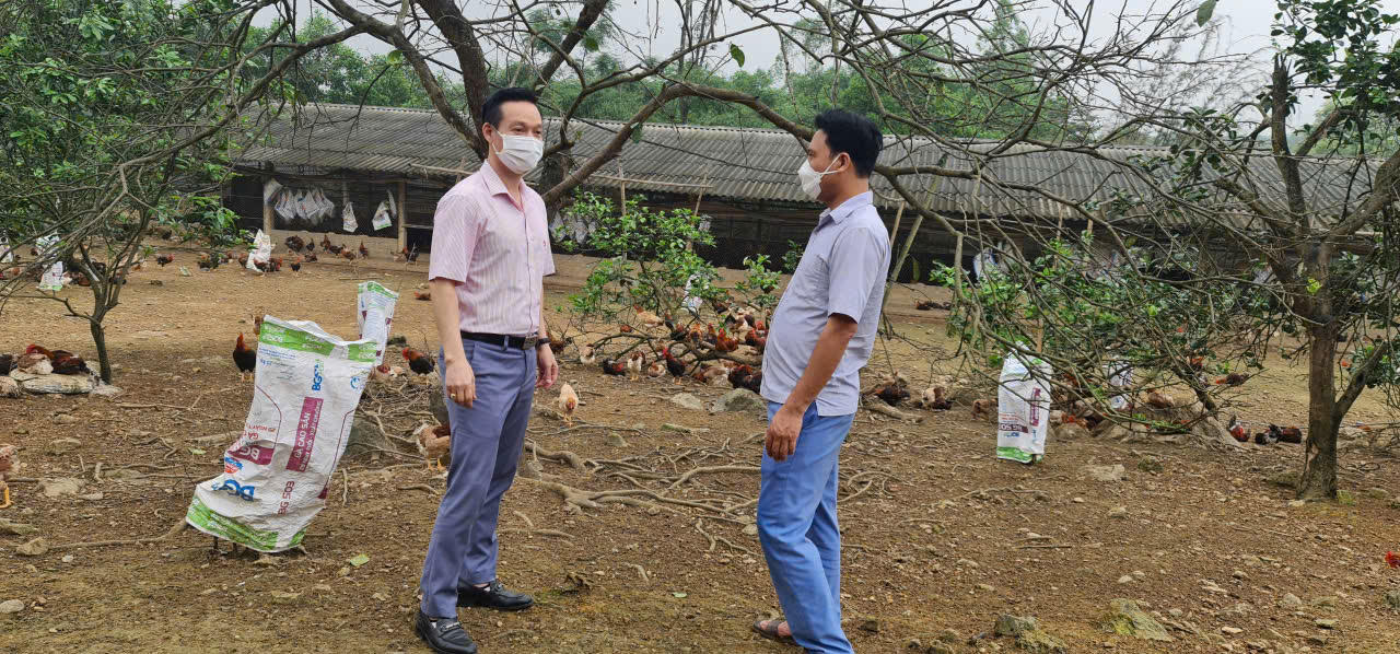 Tín dụng chính sách tạo 'động lực' giảm nghèo bền vững trên vùng trung du Phú Thọ