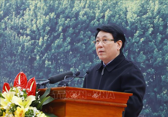 Chủ tịch nước Lương Cường: Mỗi cây xanh được trồng là một món quà vô giá cho thế hệ mai sau