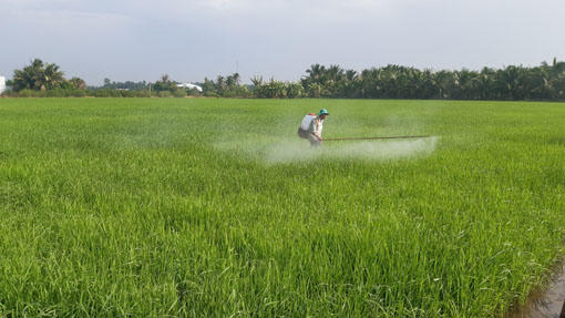 Để có những vụ mùa bội thu