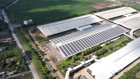 Cuộc đua Net Zero: Doanh nghiệp xanh hóa để dẫn đầu hay bỏ lại phía sau?