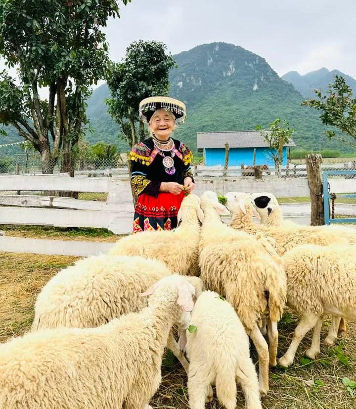 Cụ bà 97 tuổi check-in khắp Việt Nam gây sốt mạng xã hội