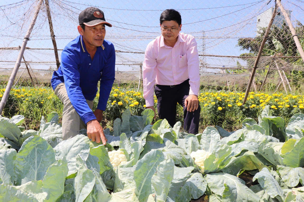 Tín dụng chính sách tiếp sức vùng đất cuối trời Tây Nam