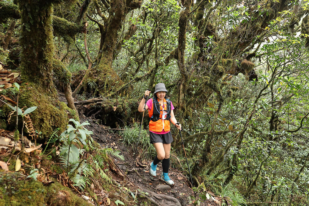 Vẻ đẹp rực rỡ của các nhà báo trên đường chinh phục đỉnh Tà Xùa