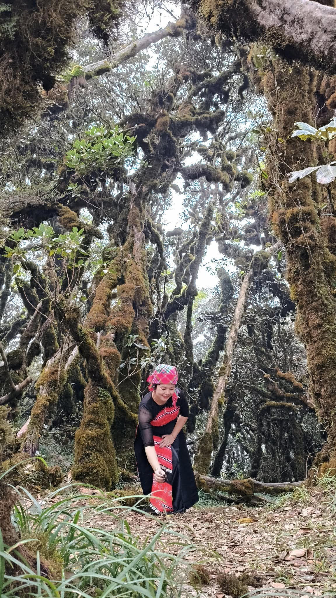 "Vận động viên đặc biệt" của Giải leo núi "Bước chân trên mây" mặc áo dài Việt Nam chinh phục đỉnh Tà Xùa