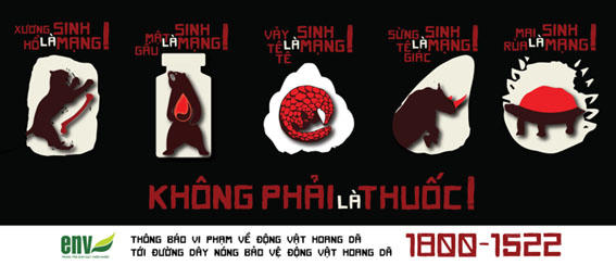 Thầy thuốc đông y trên hành trình bảo vệ động vật hoang dã