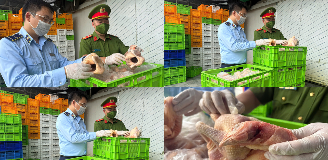 Phát hiện 20 tấn gà ủ muối, nội tạng đang phân hủy chuẩn bị tuồn ra thị trường