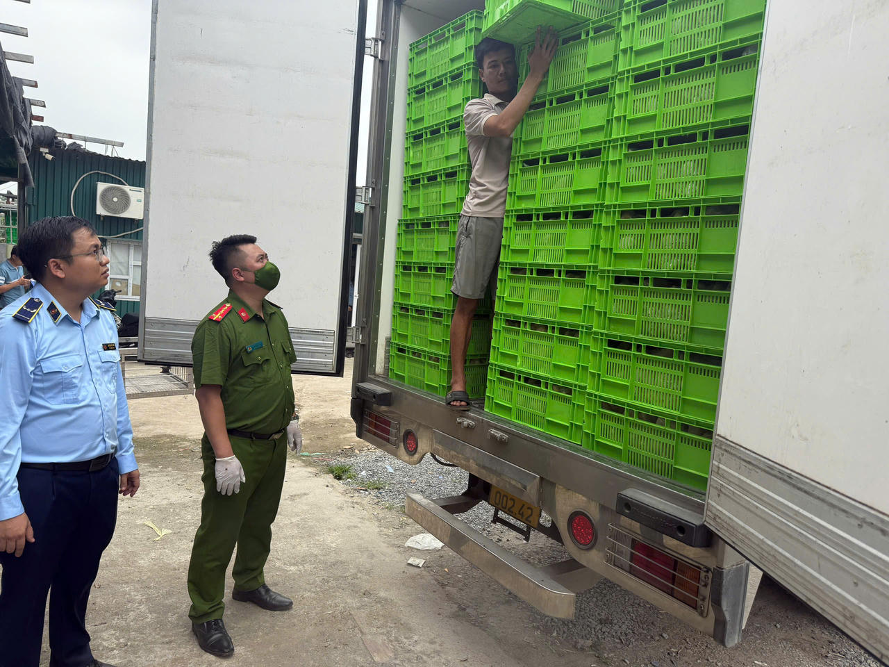 Phát hiện kho 'gà lậu' trị giá hơn 700 triệu ở Hà Nội