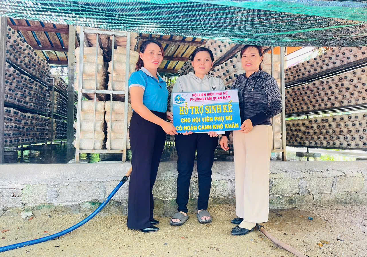 'Cú hích' xóa nghèo từ vốn vay ưu đãi ở Hoài Nhơn