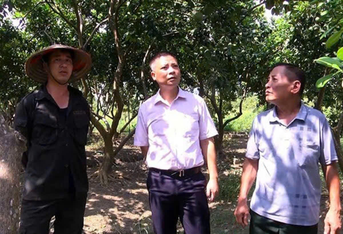 Đổi thay ở Lục Yên nhờ vốn tín dụng chính sách