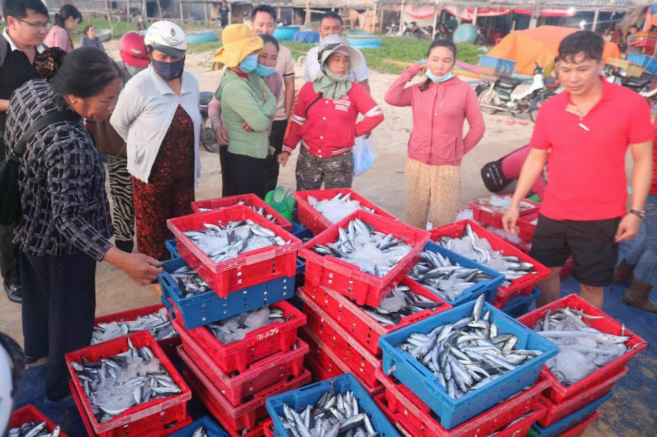 Bước chuyển mình của huyện đảo Phú Quý