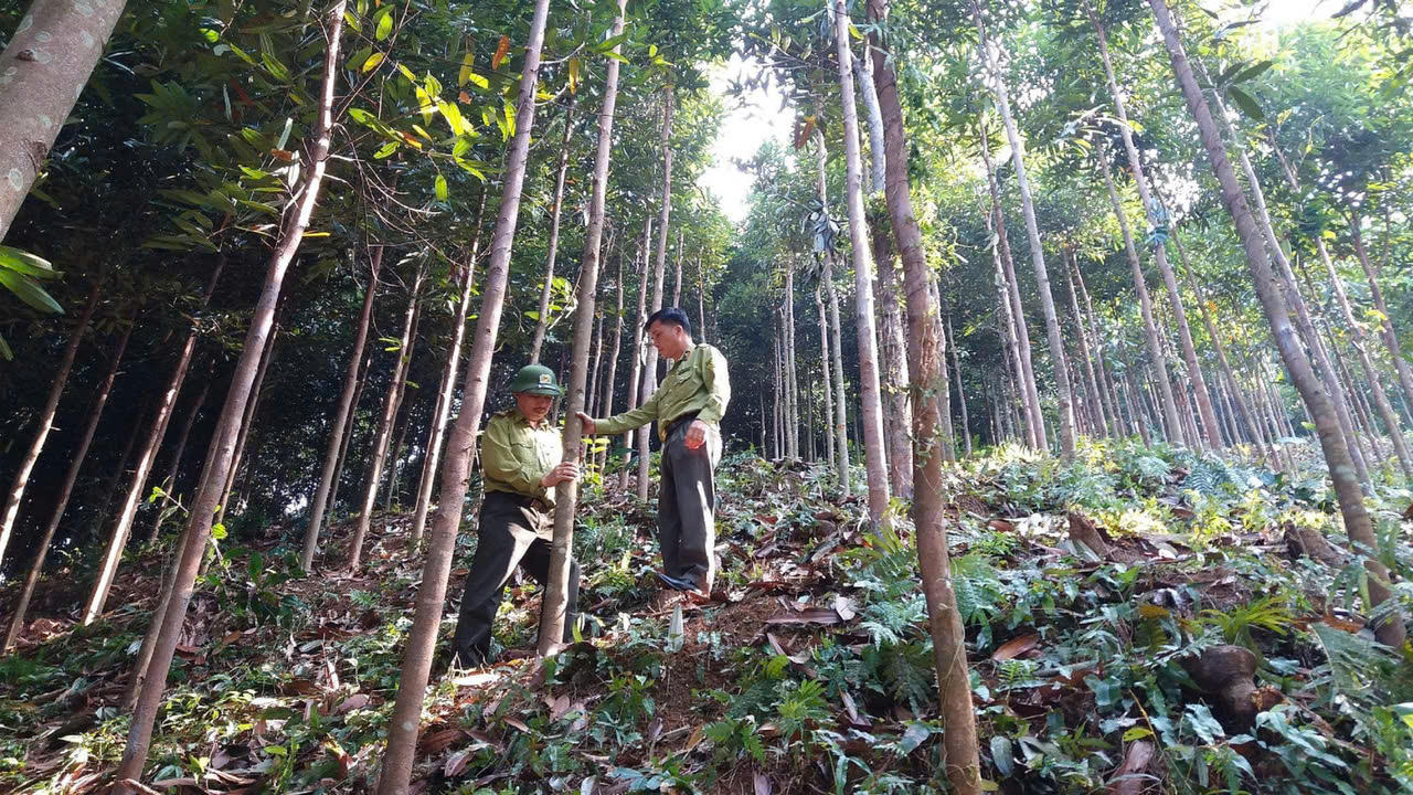 Tín dụng chính sách - 'hành trình gieo hy vọng, gặt trái ngọt' ở Thái Nguyên