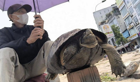 Danh mục các loài ĐVHD có khả năng gây nuôi sinh sản vì mục đích thương mại: Khung pháp lý cần thiết để hỗ trợ kiểm lâm và chủ nuôi