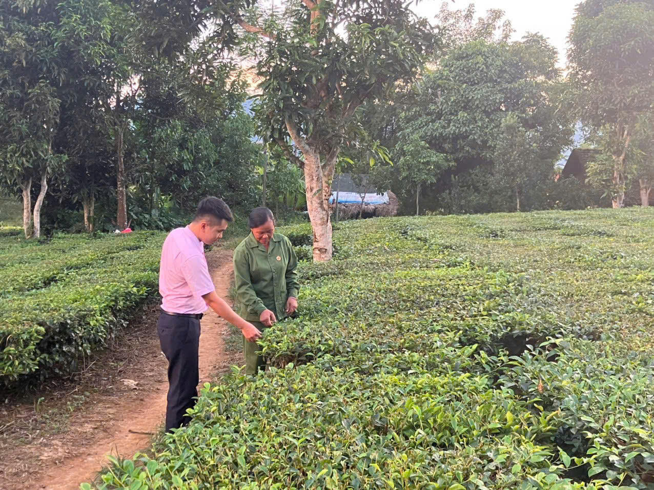 Tân Sơn đổi thay tích cực nhờ nguồn vốn tín dụng chính sách