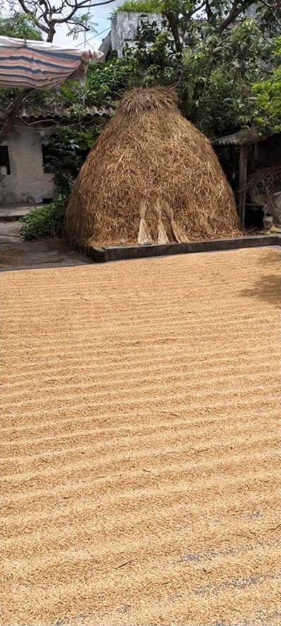 Ngôi nhà thân thương của người Việt xưa