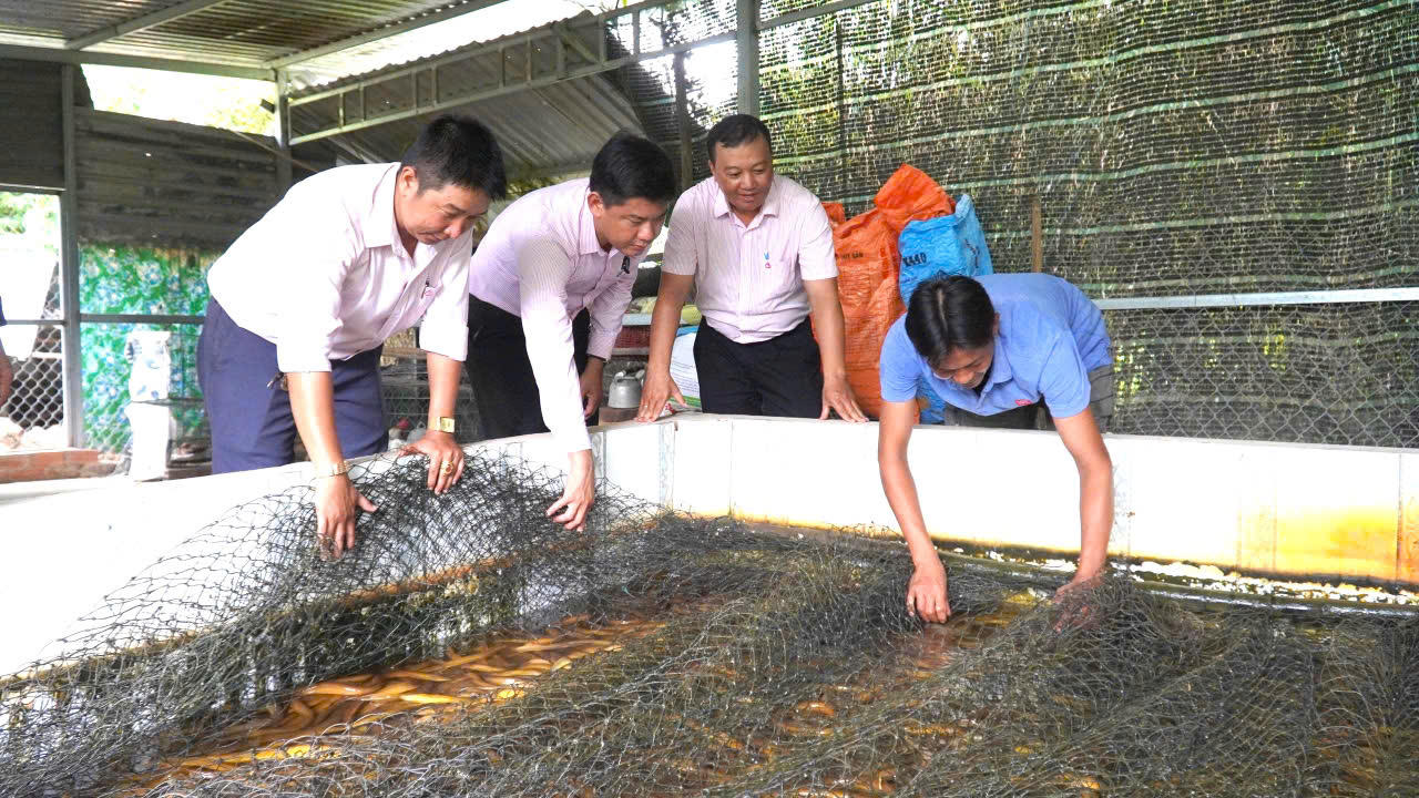 Tín dụng chính sách nơi cuối trời Tây Nam: Gần dân, vì dân phục vụ tốt hơn