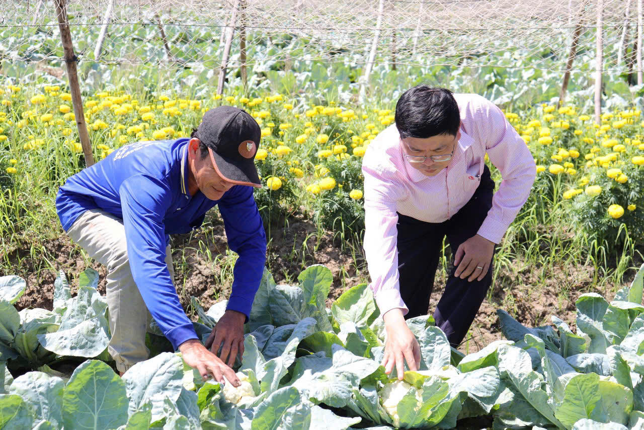 Tín dụng chính sách nơi cuối trời Tây Nam: Gần dân, vì dân phục vụ tốt hơn