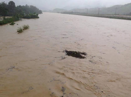 Hà Tĩnh: Mưa lũ khiến 2 người chết, thiệt hại nặng nề về tài sản
