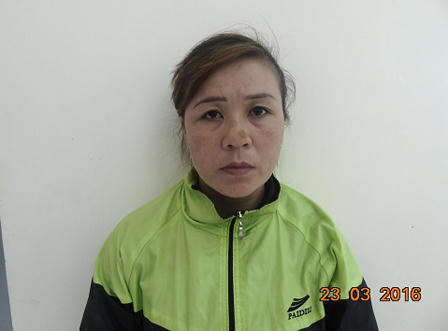 Hà Tĩnh: Khởi tố “nữ quái” chuyên hành nghề trộm cắp