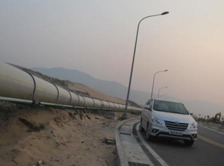 Nguyên nhân cá biển chết bất thường có trong tuần tới?