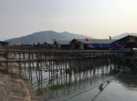 Đặc sản mực nhảy Vũng Áng “chết yểu”, tiểu thương 'kêu trời'