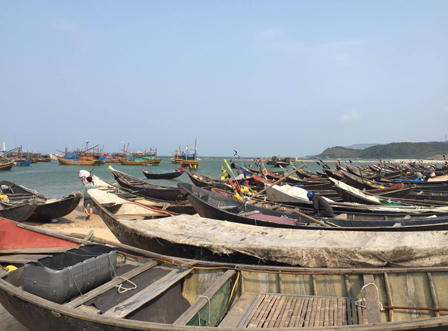 Đặc sản mực nhảy Vũng Áng “chết yểu”, tiểu thương 'kêu trời'