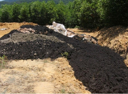 Hà Tĩnh: Bốc toàn bộ chất thải của Formosa tại trang trại đi nơi khác