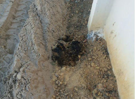 Hà Tĩnh: Phát hiện thêm điểm chôn chất thải Formosa ở công viên