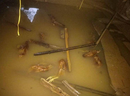 Hà Tĩnh: Hàng ngàn hộ dân vẫn đang bị lũ cô lập