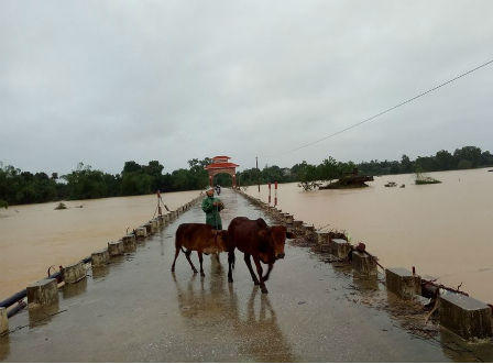 Hà Tĩnh: Nước tràn cả đường lẫn nhà, người dân cả đêm 'trốn' lũ