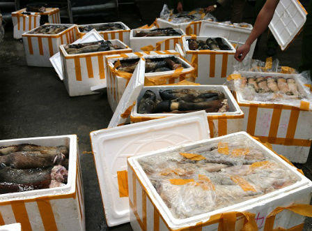 Hà Tĩnh: Bắt giữ xe khách chở hơn 1 tấn chân, đuôi trâu bò hôi thối