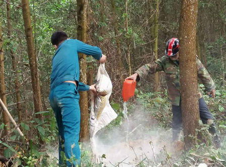 Hà Tĩnh: Điều tra nguyên nhân bò của người dân bỗng nhiên chết hàng loạt