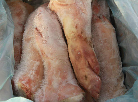 Hà Tĩnh: Phát hiện 1 hợp tác xã lưu trữ hơn 1 tấn thực phẩm hôi thối