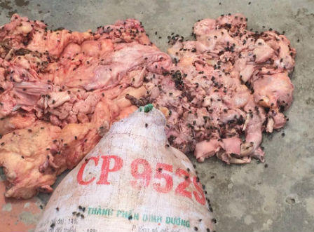 Hà Tĩnh: Bắt giữ đối tượng vận chuyển gần 2 tạ thịt, mỡ thối