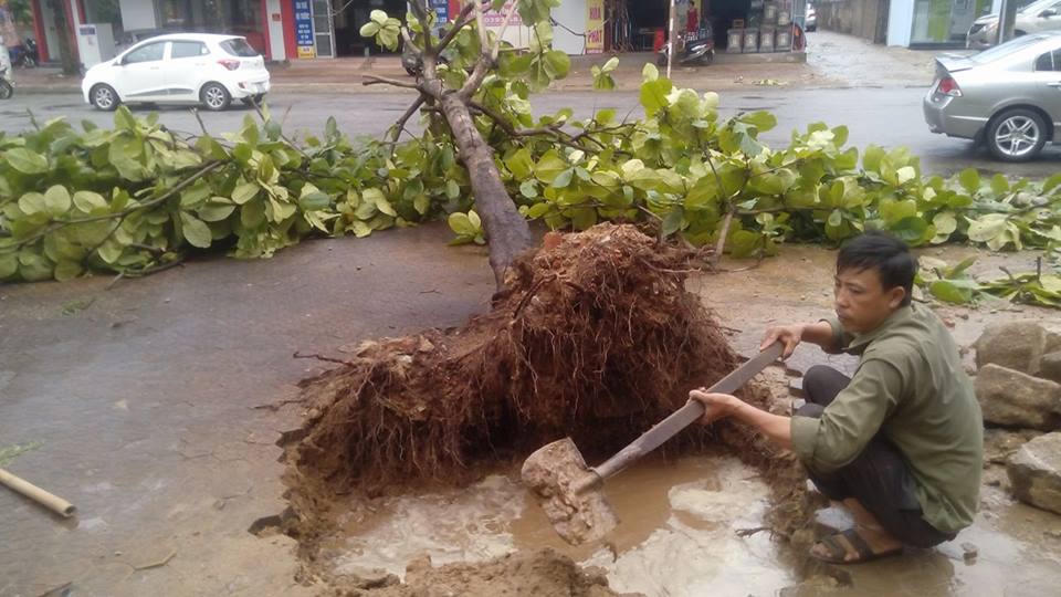 Mái nhà rách méo ngổn ngang trên đất, cây gẫy đổ chắn đường ở Hà Tĩnh