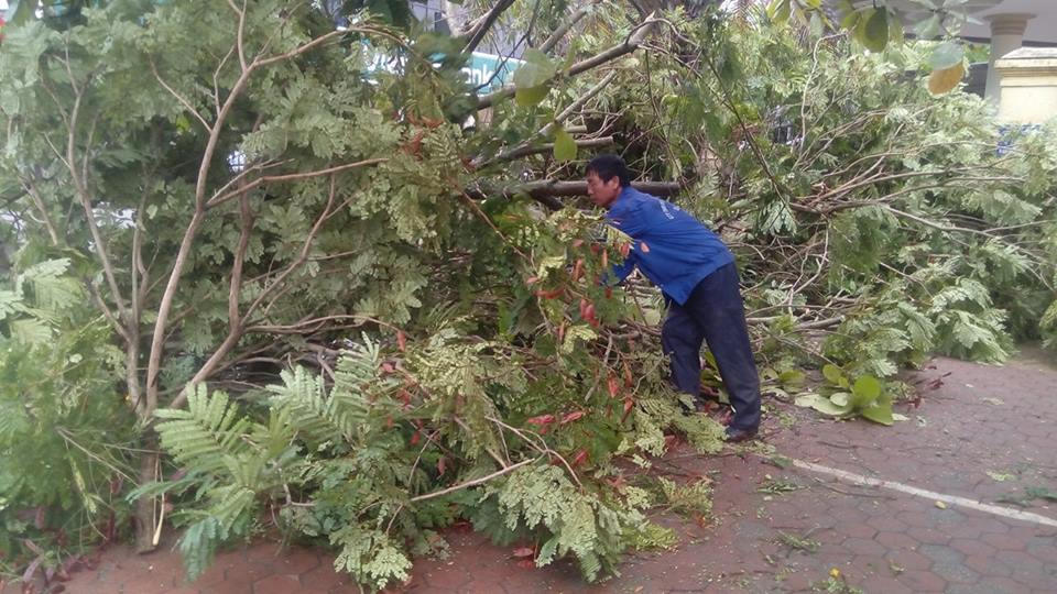 Mái nhà rách méo ngổn ngang trên đất, cây gẫy đổ chắn đường ở Hà Tĩnh