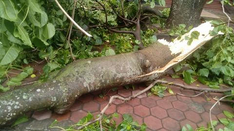 Mái nhà rách méo ngổn ngang trên đất, cây gẫy đổ chắn đường ở Hà Tĩnh