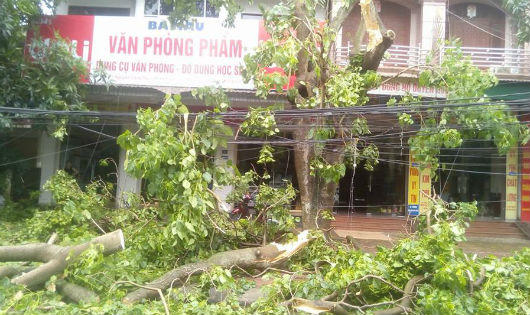 Mái nhà rách méo ngổn ngang trên đất, cây gẫy đổ chắn đường ở Hà Tĩnh