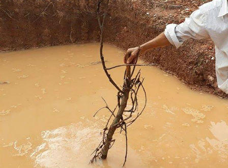 Hà Tĩnh: Sẩy chân xuống hố công trình, 2 anh em ruột tử vong