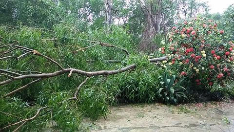Hà Tĩnh mưa to gió lớn, hàng ngàn nhà bị ngập, 1 người thiệt mạng