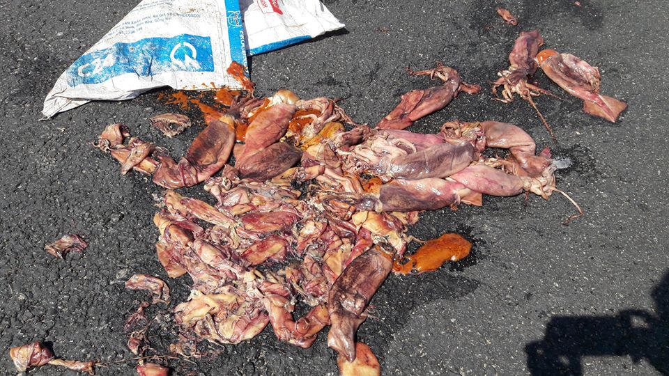 Hà Tĩnh: Dân chặn xe chở hải sản thối khiến quốc lộ ách tắc