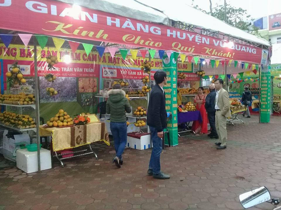 Hà Tĩnh: Tổ chức Lễ hội cam và các sản phẩm nông nghiêp lần thứ nhất