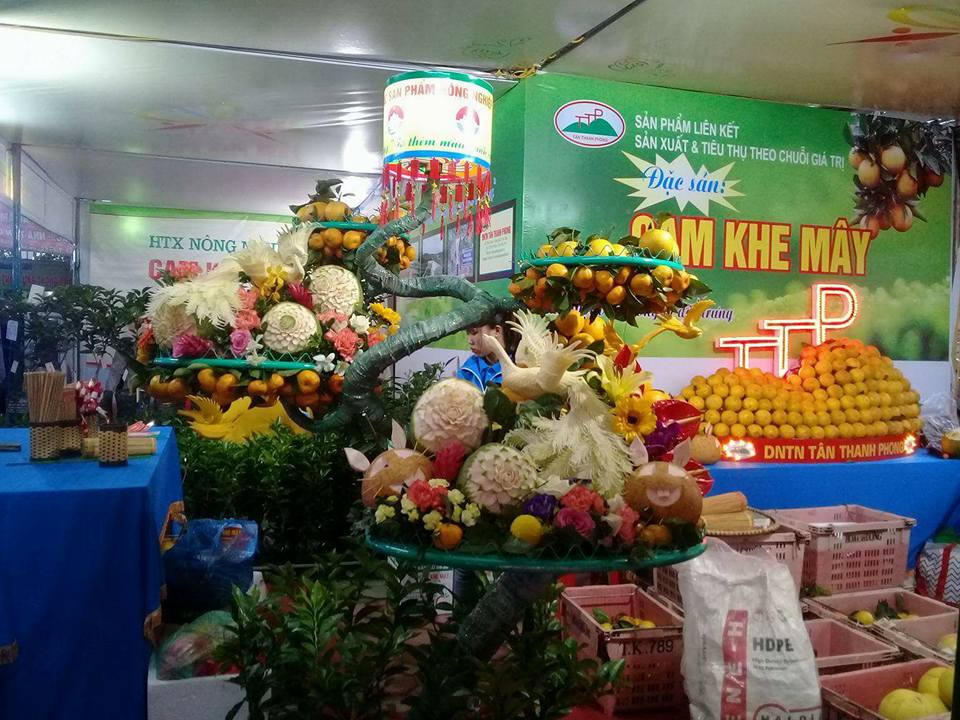 Hà Tĩnh: Tổ chức Lễ hội cam và các sản phẩm nông nghiêp lần thứ nhất