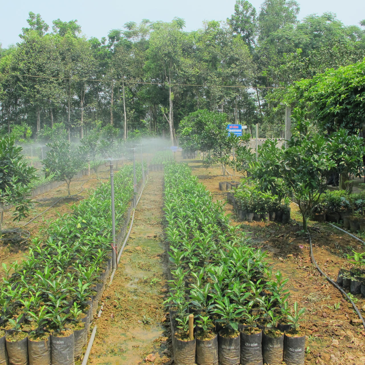 Hà Tĩnh: Ngỡ ngàng trước những khu dân cư kiểu mẫu, vườn mẫu