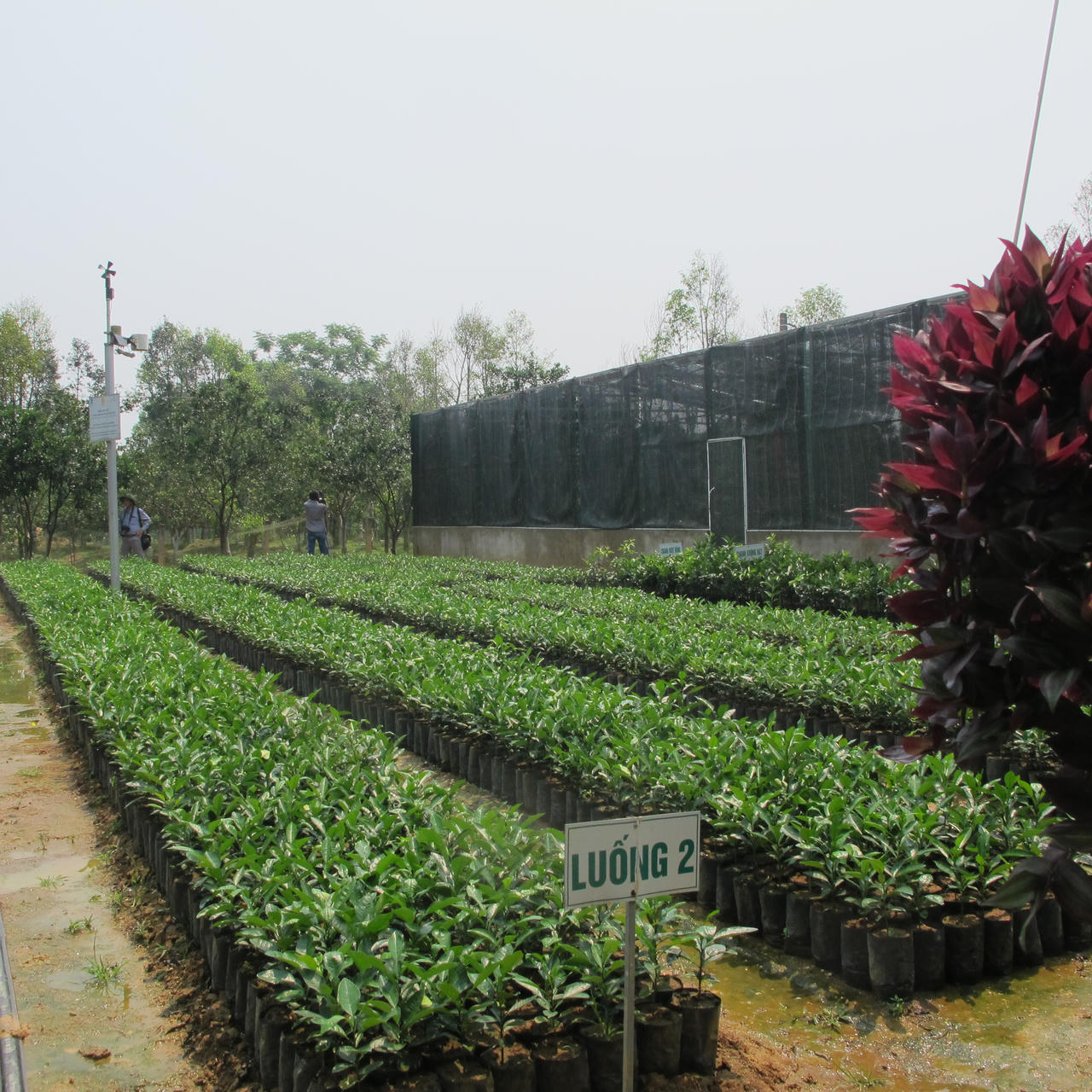 Hà Tĩnh: Ngỡ ngàng trước những khu dân cư kiểu mẫu, vườn mẫu