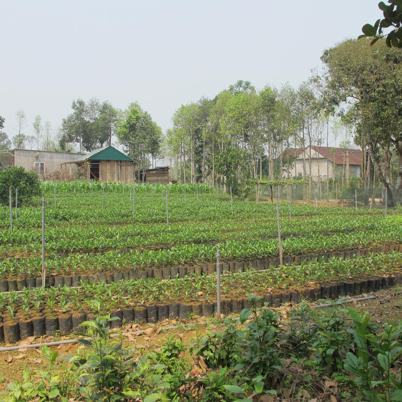 Hà Tĩnh: Ngỡ ngàng trước những khu dân cư kiểu mẫu, vườn mẫu