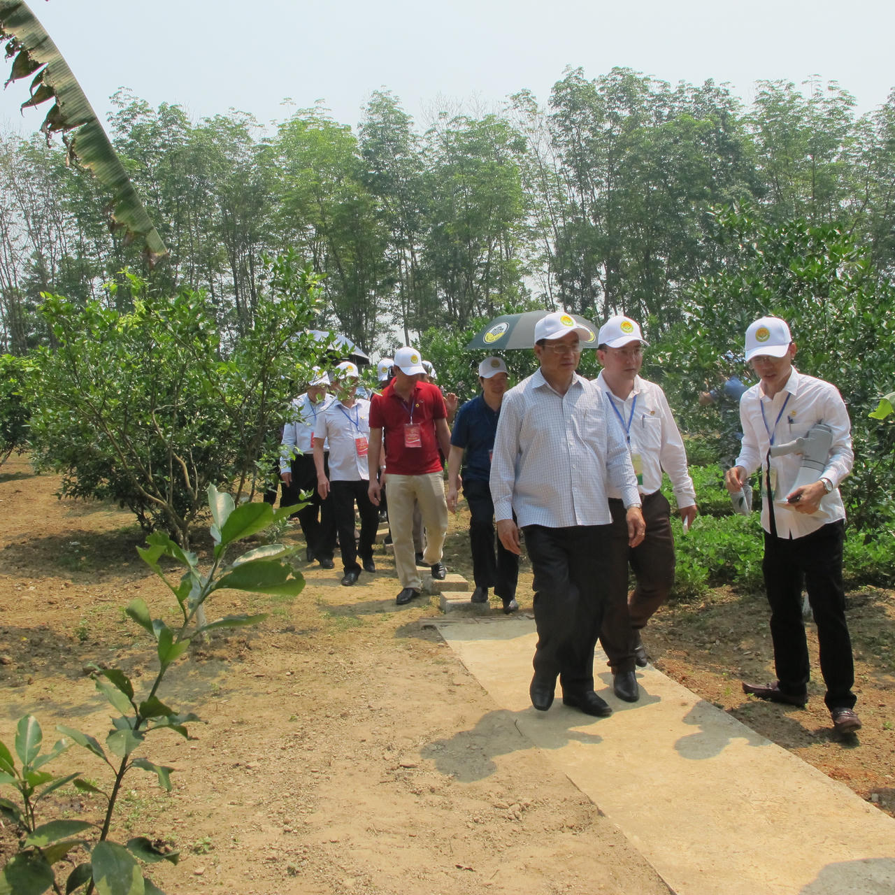 Hà Tĩnh: Ngỡ ngàng trước những khu dân cư kiểu mẫu, vườn mẫu