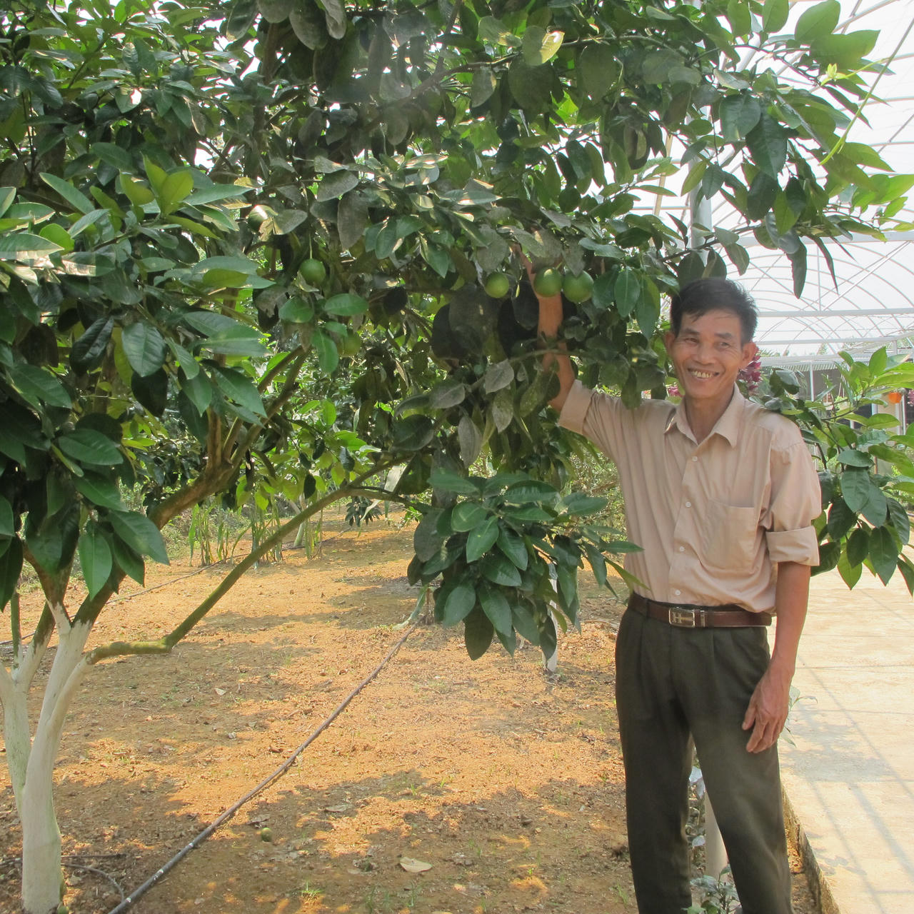 Hà Tĩnh: Ngỡ ngàng trước những khu dân cư kiểu mẫu, vườn mẫu